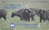 RARE Télécarte JAPON - JTB - Animal BUFFLE & Oiseau PIQUE-BOEUF - BUFFALO & BIRD In TANZANIA JAPAN Phonecard - 43 - Vacas