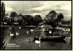 Delcampe - Werder An Der Havel  -  Partie An Der Havel  -  Ansichtskarte Ca. 1971    (5214) - Werder