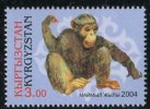 (cl. 4 - P.17) Kirghizstan ** N° 278 (ref. Michel Au Dos)  Chimpanzés - - Kirgisistan