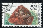 (cl. 4 - P.5) Rep. Tchèque Ob N° 284 - (ref. Michel Au Dos) - Gorille - Gebruikt
