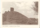 SAINT-GEORGES-SUR-MEUSE (4470) : La Chapelle De La Trinité, à Yernawe. CPSM. - Saint-Georges-sur-Meuse