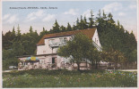 AK Zwiesel Fremdenhof Waldfrieden Baude Bei Langenhennersdorf Gottleuba Berggiesshübel Pirna Bahra Königstein Kirchberg - Bad Gottleuba-Berggiesshuebel