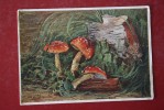 AMANITAS By Yakovlev -  Mushroom - Old USSR Card - - Champignon 1956 - Champignons