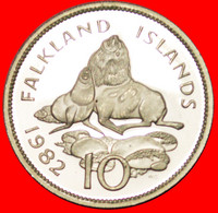 * GREAT BRITAIN SEA LIONS (1974-1992): FALKLAND ISLANDS ★ 10 PENCE 1982! PROOF! LOW START★ NO RESERVE - Falklandinseln