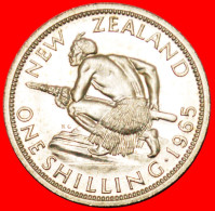 + MAORI AT WAR: NEW ZEALAND ★ SHILLING 1965! BU! LOW START★ NO RESERVE - Nouvelle-Zélande