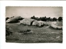 CP - LOCMARIAQUER (56) Le Grand Menhir Brise - Locmariaquer