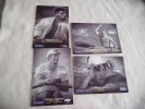 LOT DE 4CARTES MISSION SYDNEY ...PROMOTION DU CANADA...PORTER..GILL ..MALAR ET FURNEAUX - Olympic Games