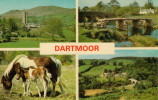 DARTMOOR   WIDECOMBE IN THE MOOE--POSTBRIDGE-DARTMEET         (NUOVA) - Clovelly