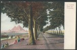 Egypt Old Post Card - Postcard - Carte Postale Pyramids Road - Route Des Pyramides - Pyramides