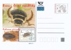 Czech Rep. / Postal Stat. (Pre2015/42) Beetles CR (Nature Protection) Painter: Z. Bilkova, 2 - Dytiscus Marginalis - Postcards