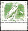 Marshall Islands 2015 Bird Vogel Oiseau - Great Egret - Albatros