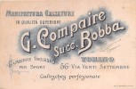 02678 "G. COMPAIRE - SUCC. BOBBA - MANIFATTURA CALZATURE - TORINO" GAMBIERE INGLESI PER SPORT. CARTONCINO PUBBL. - Pappschilder