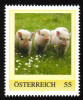 ÖSTERREICH 2010 ** Ferkel, Schwein, Pig - PM Personalized Stamp MNH - Personalisierte Briefmarken