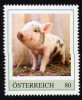 ÖSTERREICH 2015 ** Schwein, Ferkel, Pig - PM Personalized Stamp MNH - Personnalized Stamps