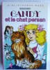 BIBLIOTHEQUE ROSE HACHETTE - CANDY ET LE CHAT PERSAN - Bob Robert Enfantina - Bibliotheque Rose