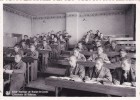 BRAINE-le-Comte    Ecole Normale  Nels  "L'auditoire De Sciences " Non-écrite         Voir Scans - Braine-le-Comte