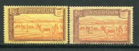 CAMEROUN- Y&T N°110- Neuf Avec Charnière * Et Oblitéré - Unused Stamps