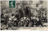 77 - LORREZ-LE-BOCAGE - Château Du Comte De Ségur - Jardin D'Hiver - Très Animée - Lorrez Le Bocage Preaux