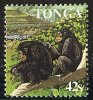 (cl. 4 - P.21) Tonga ** N° 663 (ref. Michel Au Dos)  Chimpanzés - - Tonga (1970-...)