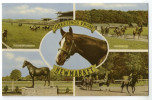 CPA    GREETINGS FROM NEWMARKET      RACING   COURSE DE CHEVAUX       MULTIVUES - Other & Unclassified