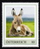 ÖSTERREICH 2015 ** Junger Esel, Donkey - PM Personalized Stamp MNH - Burros Y Asnos
