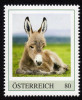 Delcampe - ÖSTERREICH 2015 ** Junger Esel, Donkey - PM Personalized Stamp MNH - Esel