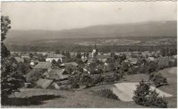 BE -SUISSE/SVIZZERA - LYSS  - Panorama  (PHOTO) - Lyss