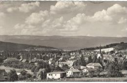 BE -SUISSE/SVIZZERA - LYSS  - Panorama  (PHOTO) - Lyss