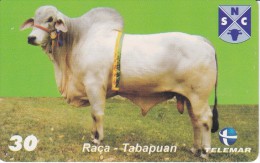 TARJETA DE BRASIL DE UNA VACA (COW-VACA) (2-10) - Cows