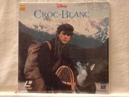 LASERDISC - CROC BLANC - Otros