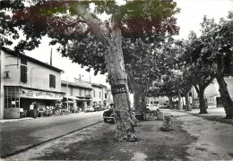 LAPALUD - Le Centre, Café De La Poste. - Lapalud