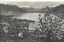 SUISSE - SCHWEIZ - SVIZZERA - SWITZERLAND -  VD - VAUD - VEVEY - Dent De Morcles Et Dent Du Midi - Morcles