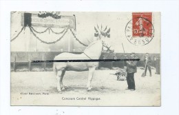 CPA  - Concours Central Hippique  - Cheval - Ippica