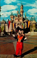 DISNEYLAND.....CPM - Disneyland