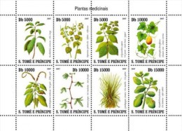 S. Tomè 2007, Medical Plants Of S. Tomè, 8val In BF - Plantes Médicinales