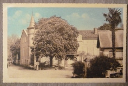 (81).CADALEN.AVENUE DE GAILLAC.ECRITE AU DOS.CPSM.TBE. - Cadalen