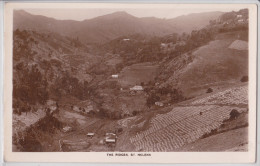 Île Sainte-Hélène - Saint Helena Island - The Ridges - Santa Helena