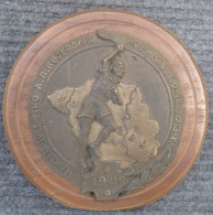 TENNIS Plaque TENISKO PRVENSTVO VOJVODINE NOVI SAD 1949 - Other & Unclassified