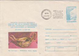 31340- ARCHAEOLOGY, DACIAN VASE FROM PETRODAVA, COVER STATIONERY, 1980, ROMANIA - Archéologie