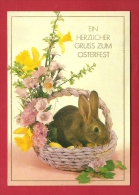 HAQ-20 Joyeuses Pâques, Gruss Zum Osterfest, Lapin Dans Panier Avec Oeufs De Pâques Et Fleurs.  Circulé. - Ostern