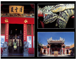 (981) Malaysia - Penang Snake Temple (with Youth Football World Cup Stamp At Back Of Postcard) - Buddhism