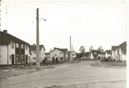 Mechelen  A/d Maas Thomasboswijk Prinsenlaan - Maasmechelen