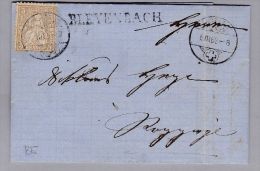 Heimat BE BLEYENBACH 1869-03-05 Lang-Stempel Auf Brief Nach Roggwyl Mit 5Rp Braun Sitz - Cartas & Documentos