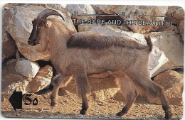 Oman - Arabian Tahr, The Rare And The Beautiful, 13OMNC, 1993, 640.000ex, Used - Oman