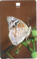 Oman - Blue Pansy, Butterflies, 34OMNW, 1997, 450.000ex, Used - Oman