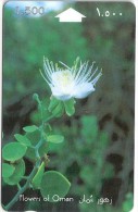 Oman - Capparis Spinosa, Flowers, 29OMNF, 1995, 250.000ex, Used - Oman