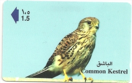 Oman - Common Kestrel, 41OMNS, 1999, 750.000ex, Used - Oman