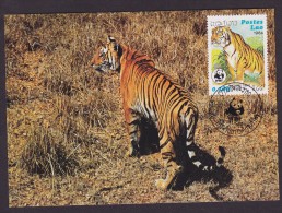 Tigre - Laos - Cartes-maximum