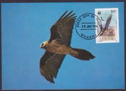 Oiseau - Lesotho - Cartes-maximum