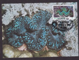 Coquillage - Ile Marshall - Cartes-maximum